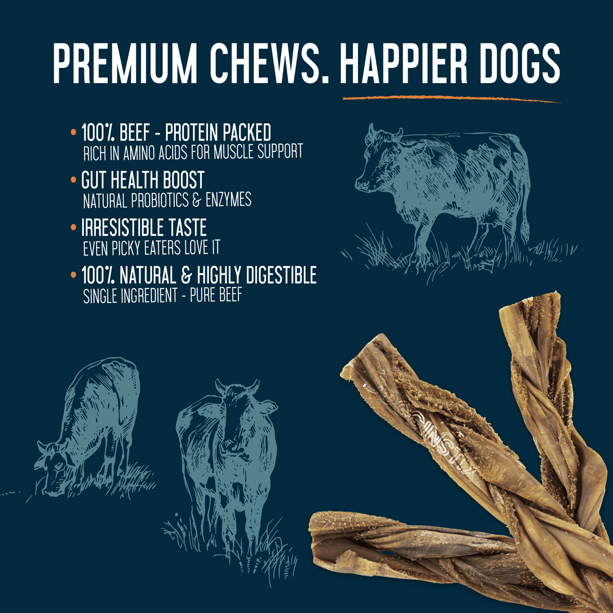 Dogginstix 12-inch braided beef tripe sticks displayed in a close-up view showing texture and braid detail.