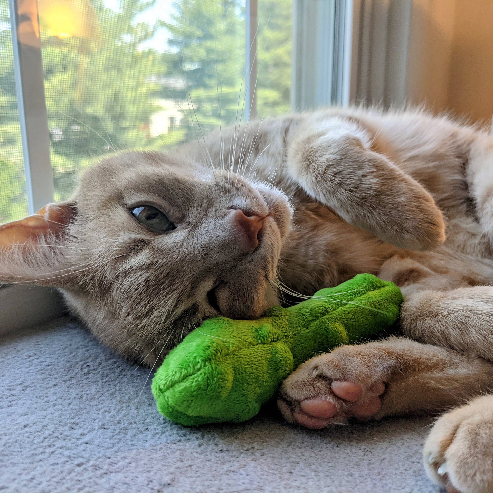 Huxley & Kent Pickle Cat Toy being played with by a cat or shown in lifestyle setting