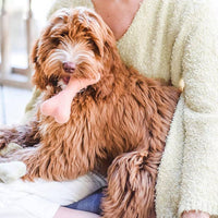 Awoo | Wool Bone | Aqua