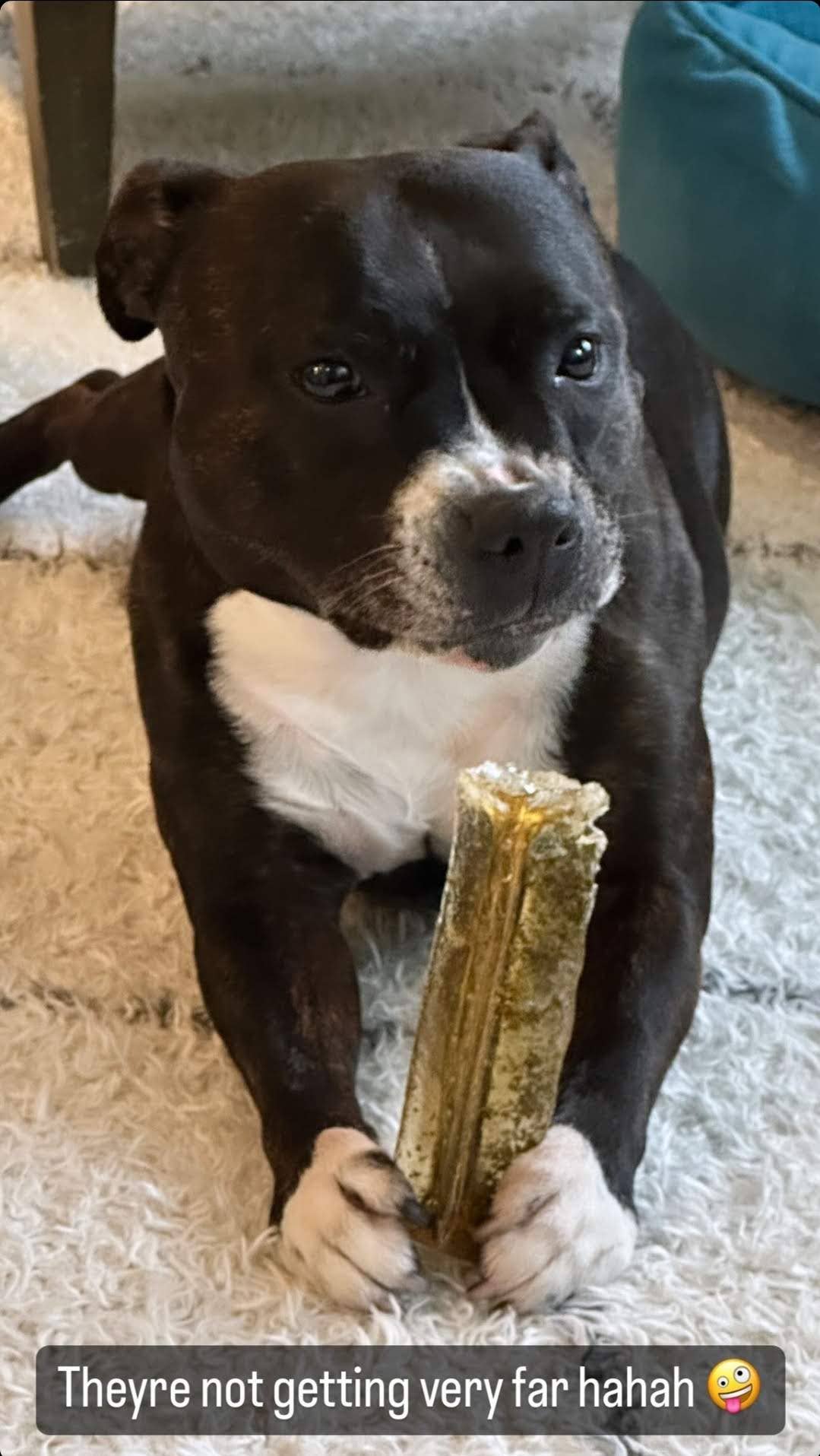 Mighty Marrows Dental Chew | Bacon