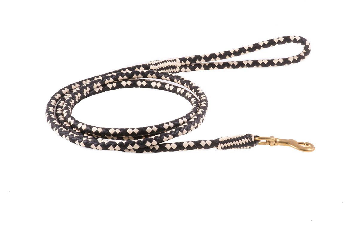 Close-up detail of Alvalley braided leather snap lead showing intricate leather strand weaving and craftsmanship.