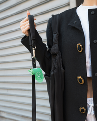 Springland poop bag dispenser attached to dog leash during outdoor walk showing compact portable design