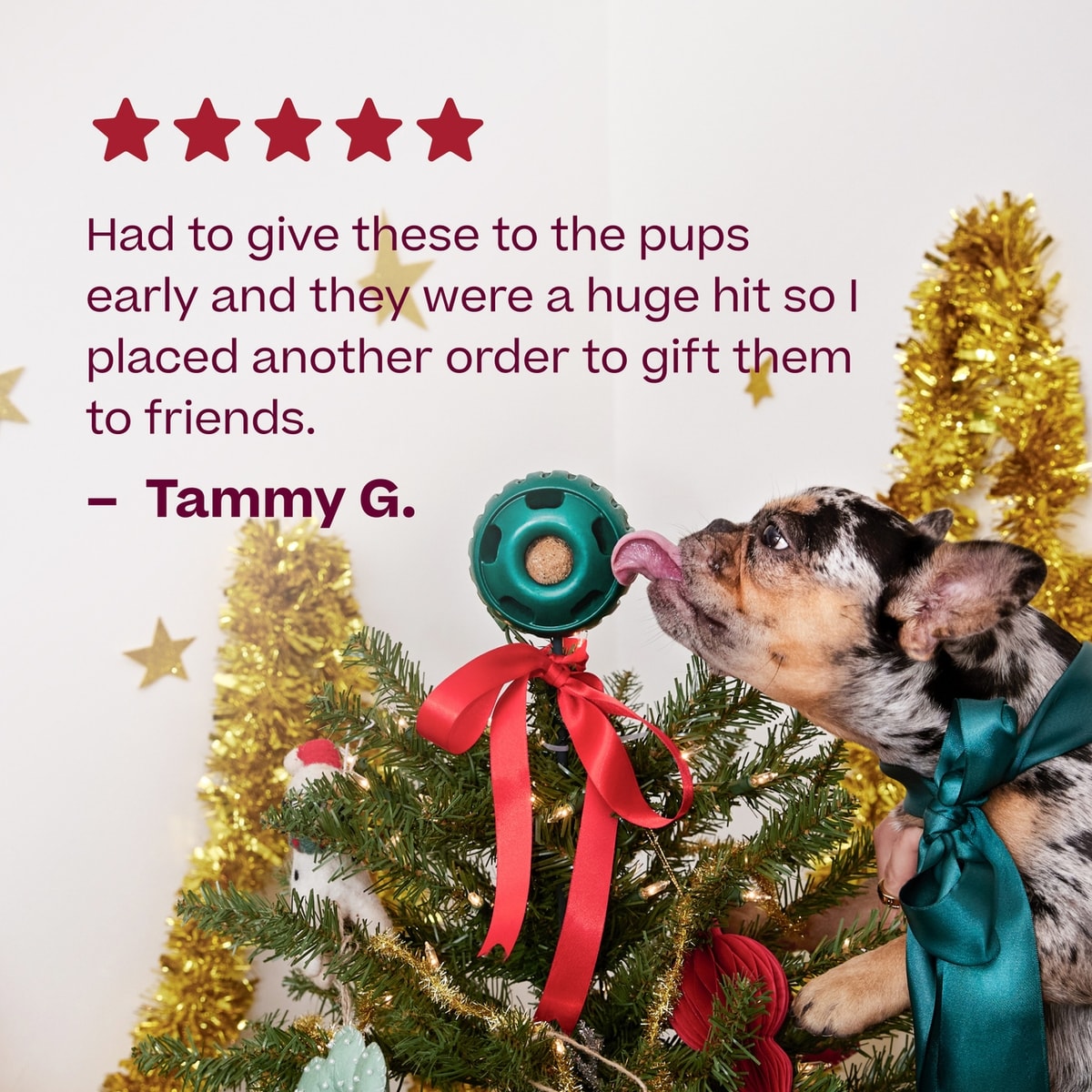 Woof Jolly Pops holiday dog treat shown from an alternate angle highlighting packaging details.