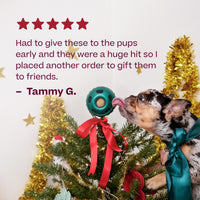 Woof Jolly Pops holiday dog treat shown from an alternate angle highlighting packaging details.