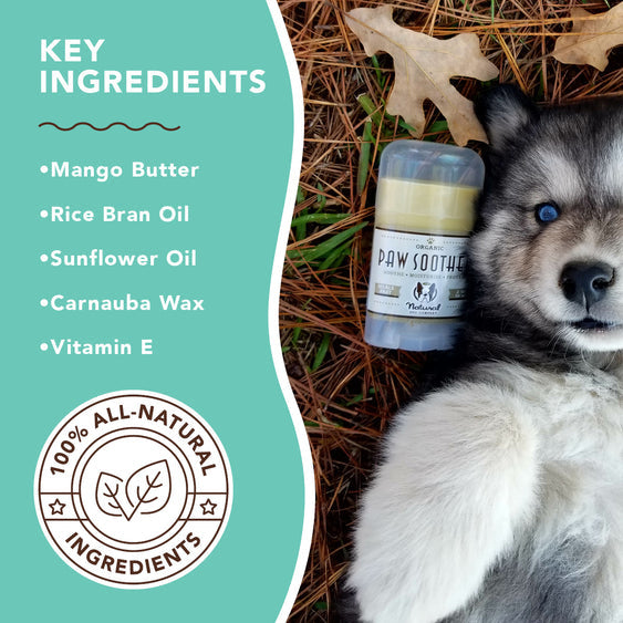 Natural Dog Co. | Paw Soother Stick 2oz