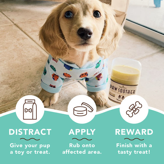 Natural Dog Co. | Paw Soother Stick 2oz