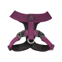 Gooby | Purple Comfort-X Dual Snap