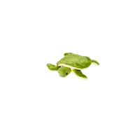 Fluff & Tuff | Shelly Turtle