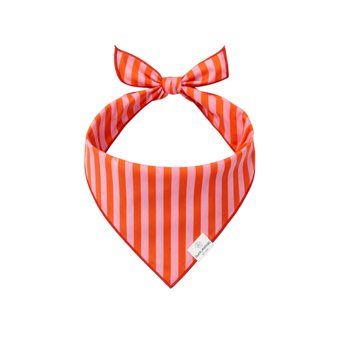Bandana | Orange & Pink Stripe