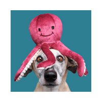 Fluff & Tuff | Olympia Octopus