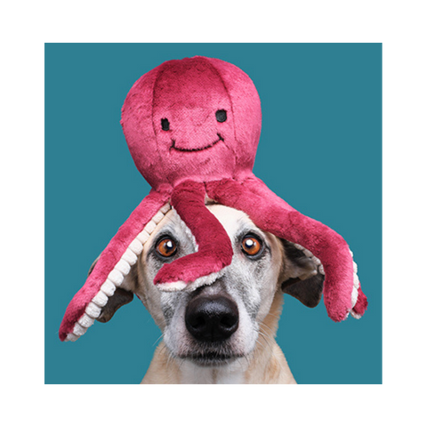 Fluff & Tuff | Olympia Octopus