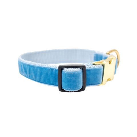 Mimi Green | Williams Blue Velvet Collar & Leash