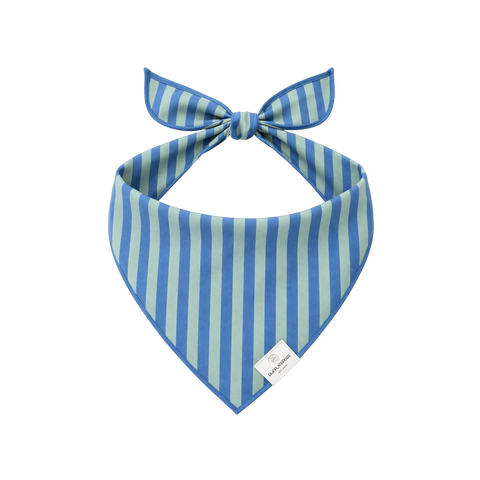 Bandana | Blue Stripe