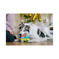 P.L.A.Y. | Party Animal | Piñata
