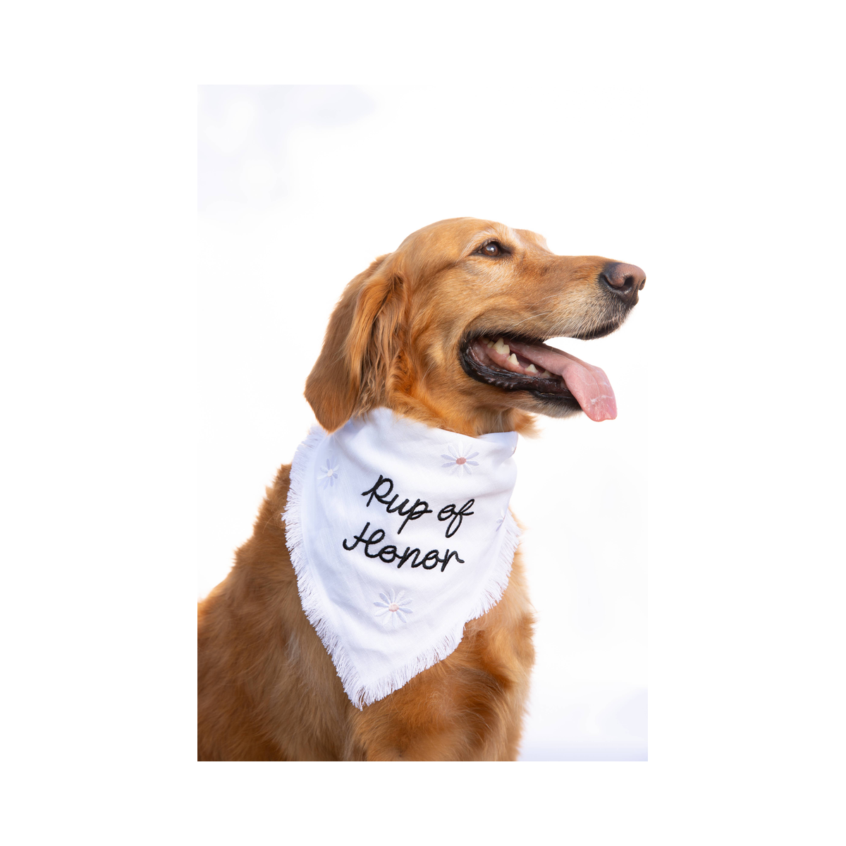 Bandana | Pup of Honor