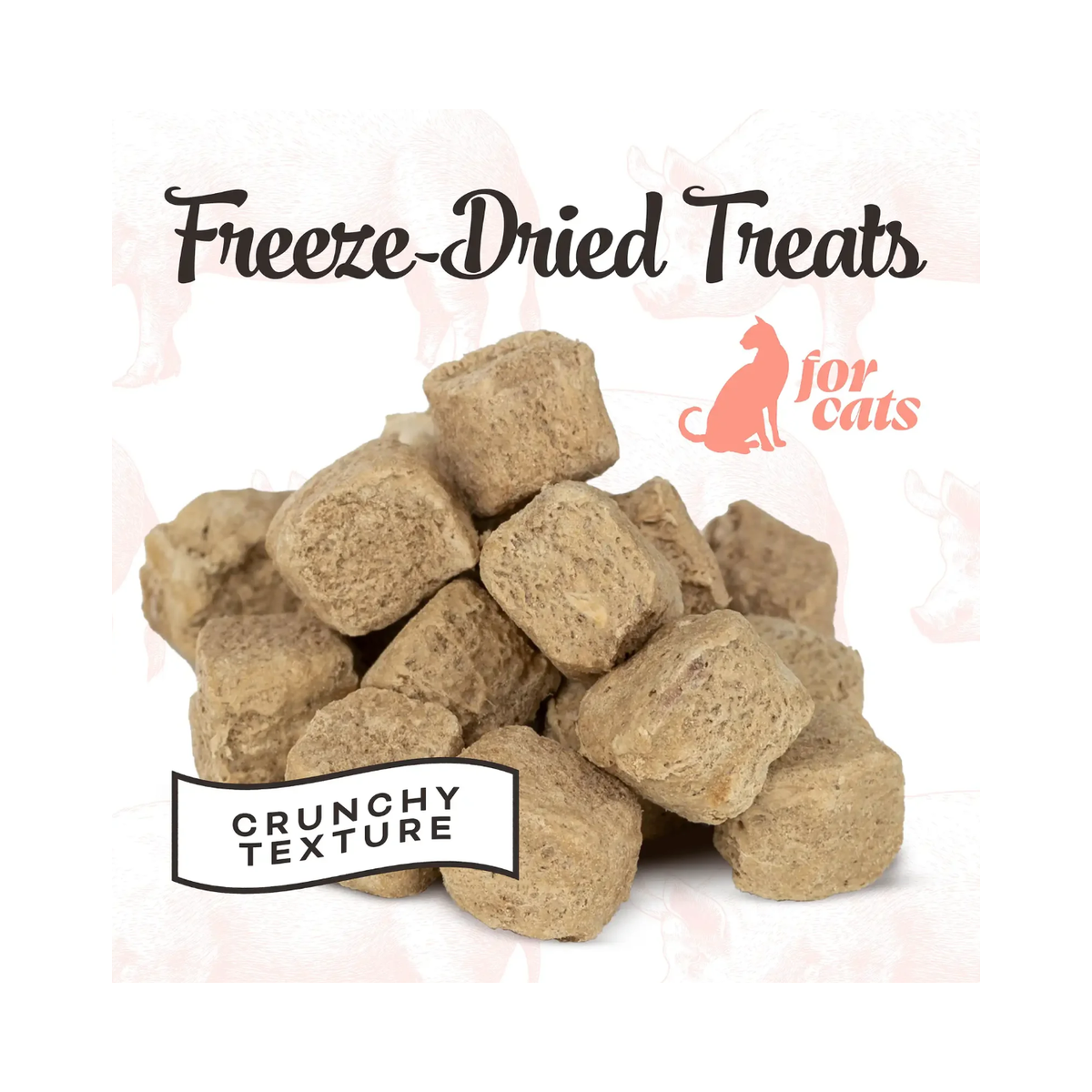 Primal | Cat Treat | Pork Liver