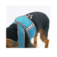 Cloak & Dawggie | Step-N-Go | Turquoise