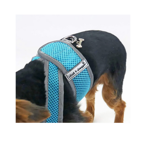 Cloak & Dawggie | Step-N-Go | Turquoise