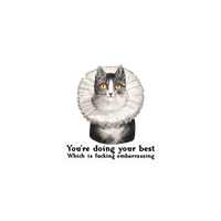 Sticker | You’re Doing Your Best