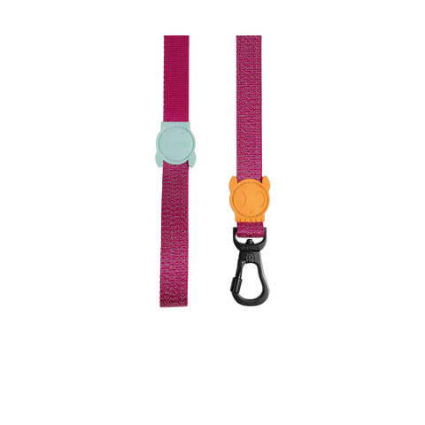 Zee.Dog | Leash | NOX Sidus