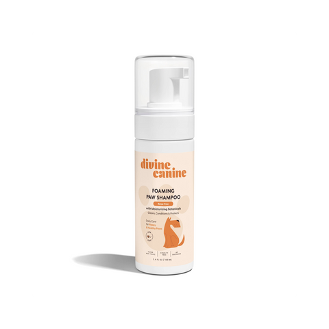 Divine Canine | Foaming Paw Sanitizer