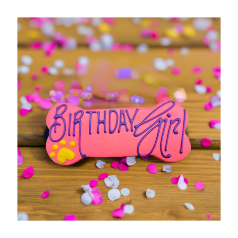 Fetch! Treats | 6" Dog Cookie | Birthday Girl