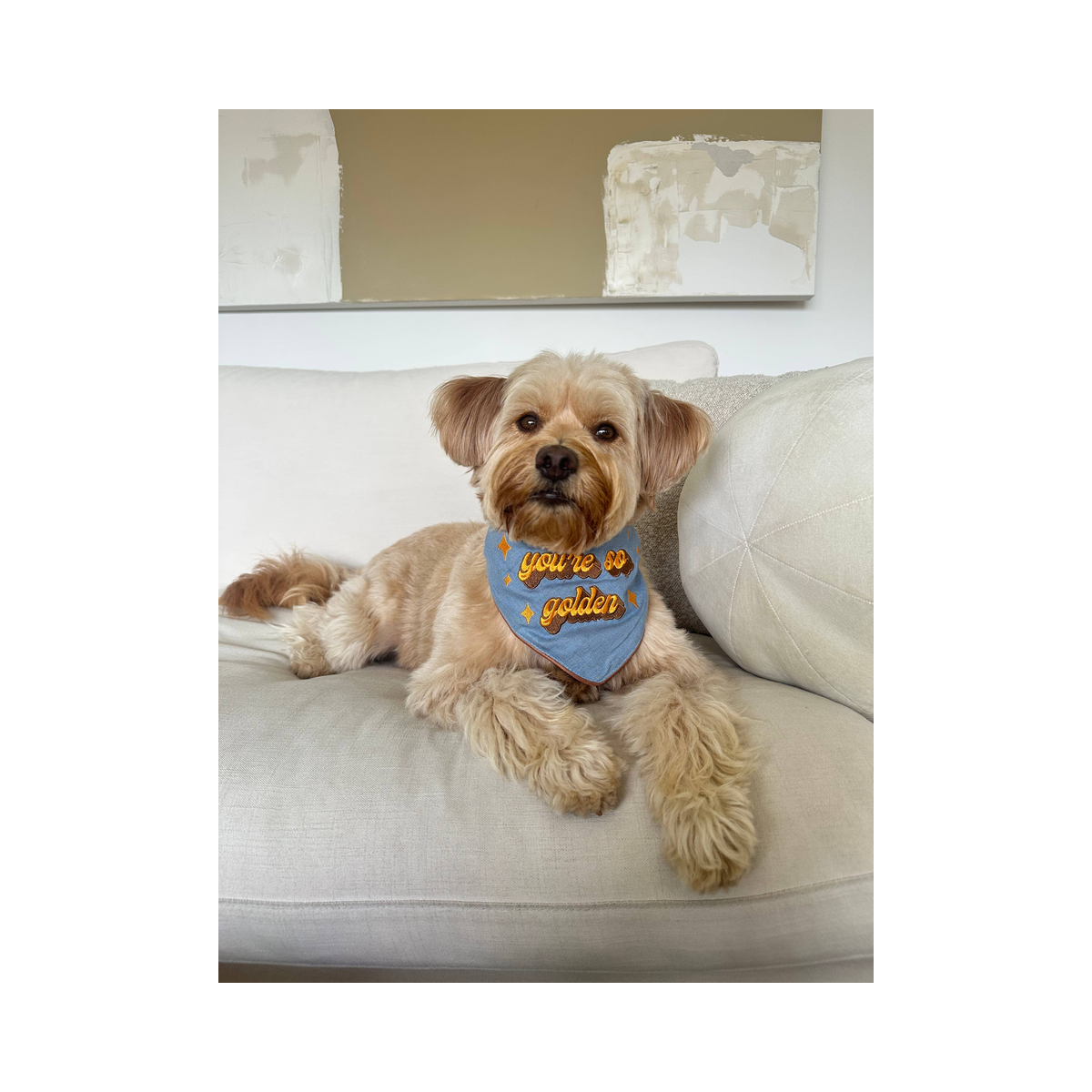 Bandana | You're So Golden