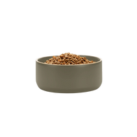 Olive Edge Bowl