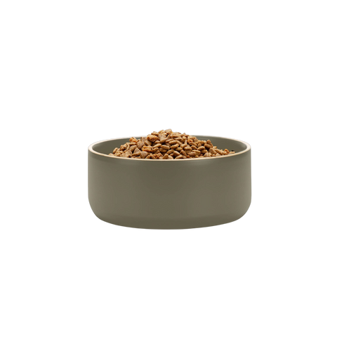 Olive Edge Bowl