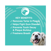 Nootie | Antimicrobial Dental Pads