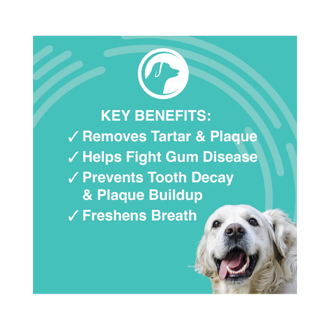 Nootie | Antimicrobial Dental Pads