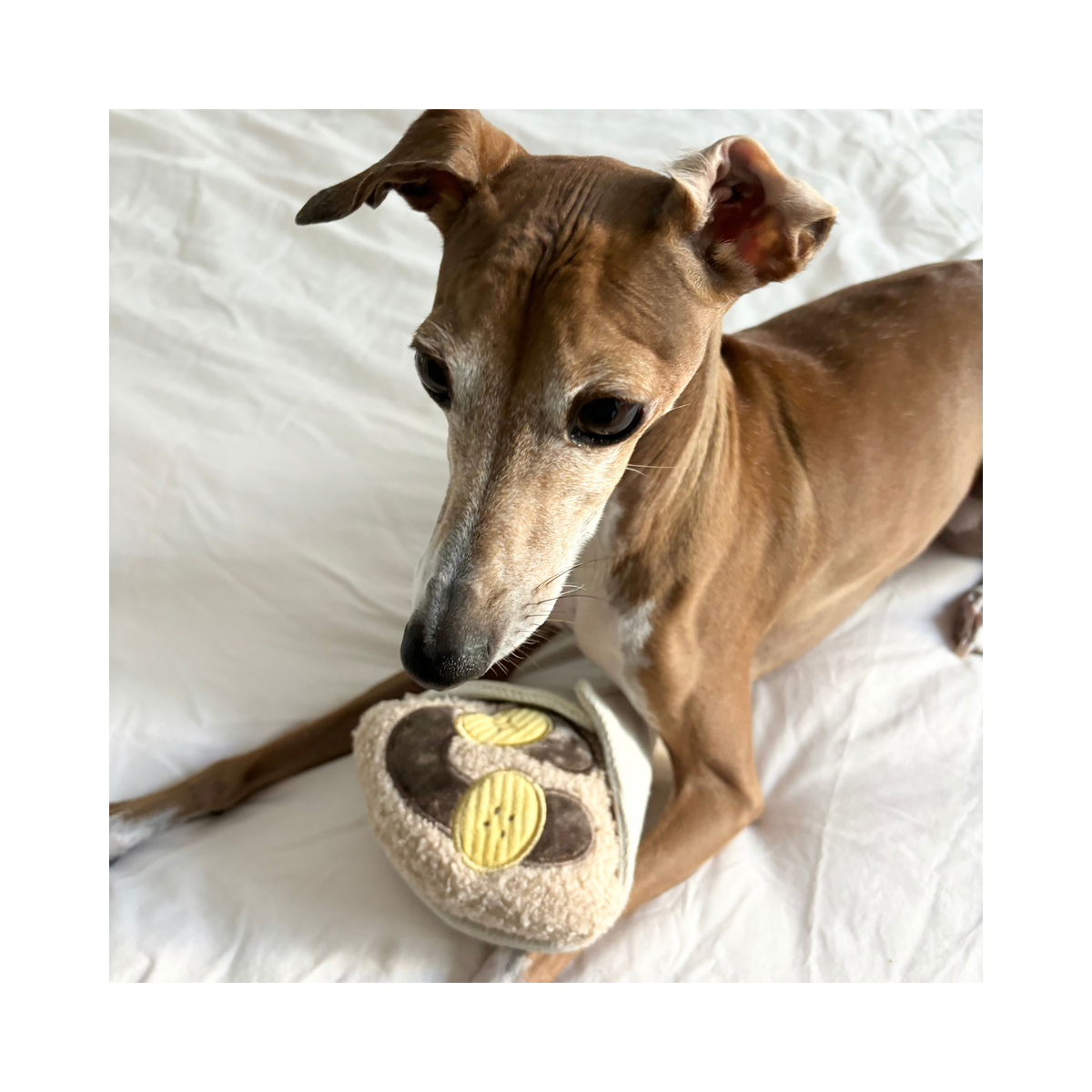 Lambwolf | CREPE Enrichment Toy