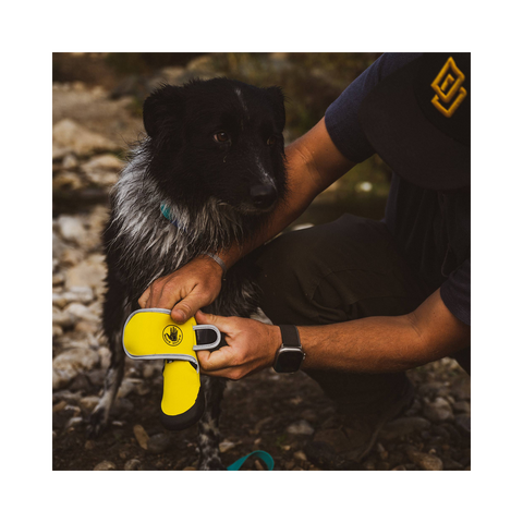 Body Glove | Paw Protector Booties