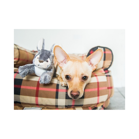Fluff & Tuff | Jessica Bunny