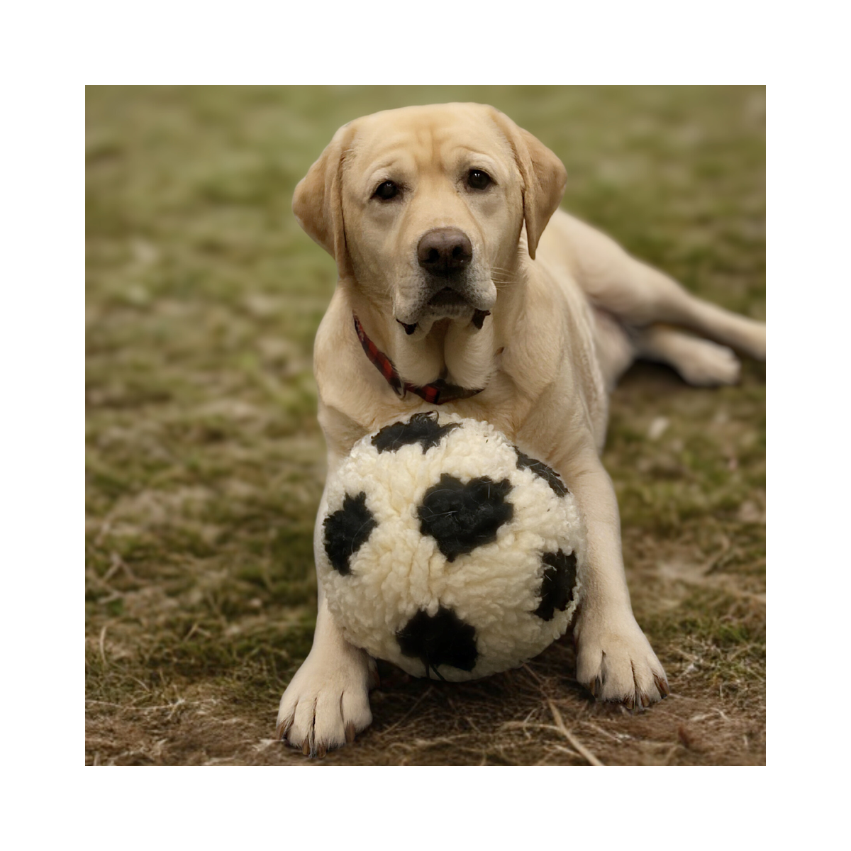 HuggleFleece® Soccer Ball