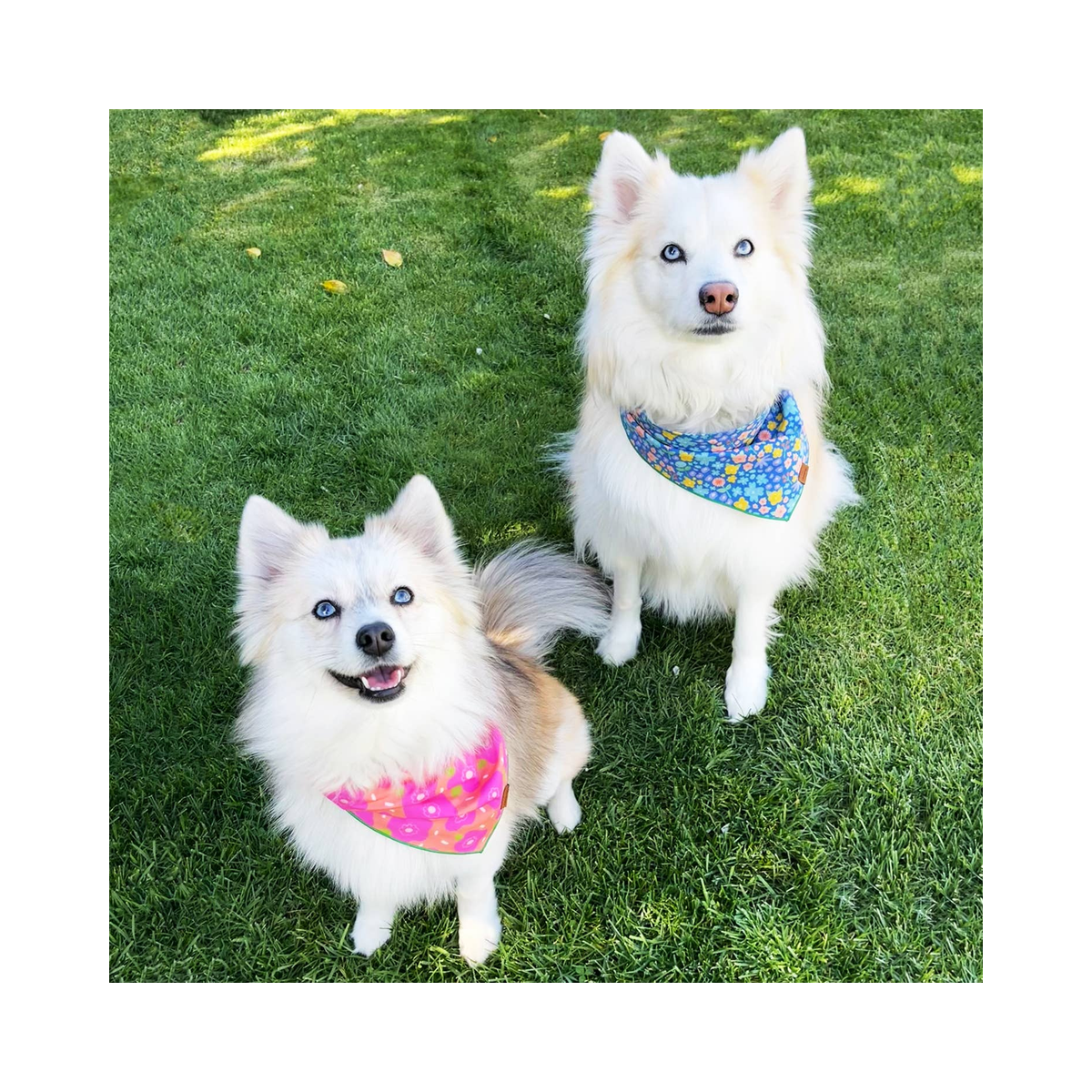 Hot Pink Flowers Pet Bandana