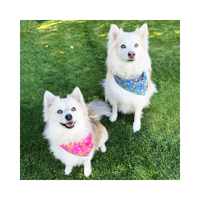 Hot Pink Flowers Pet Bandana
