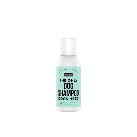Natural Rapport | Shampoo