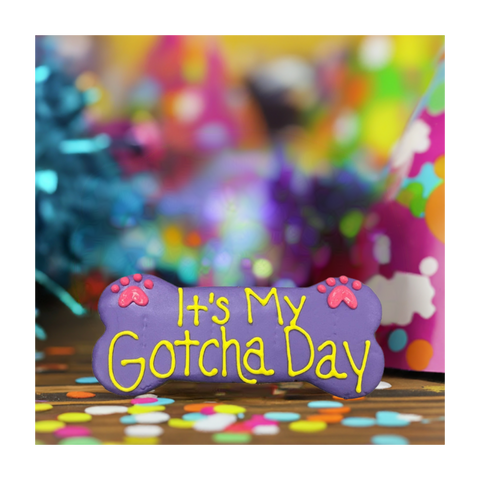 Fetch! Treats | 6" Dog Cookie | It's My Gotcha Day (colors vary)