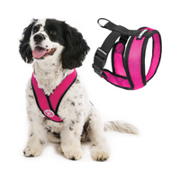 Gooby | Comfort X Head-In Harness | Flamingo