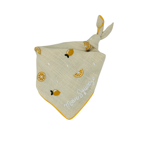 Main Squeeze Dog Bandana