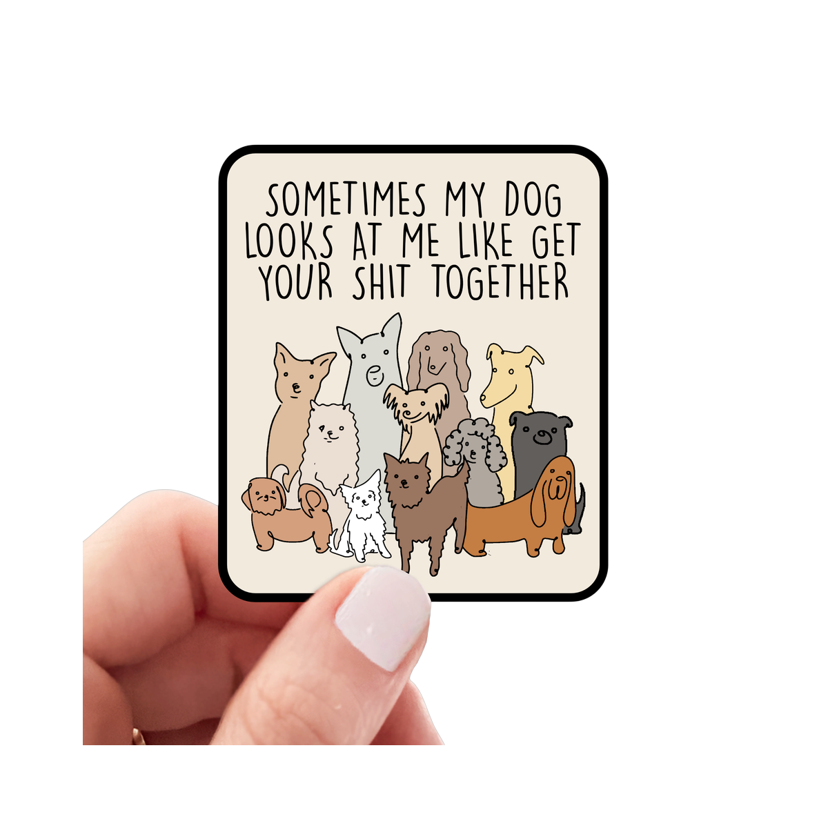 Sticker | Sometimes My Dog Looks at Me