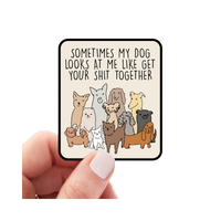 Sticker | Sometimes My Dog Looks at Me