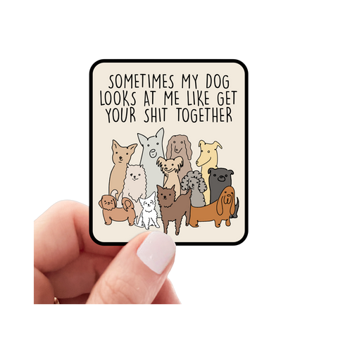 Sticker | Sometimes My Dog Looks at Me