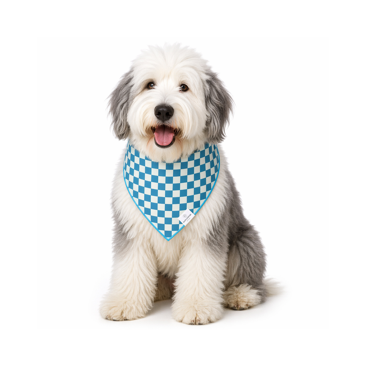Close-up detail of the rufflifepals Teal Check dog bandana showing its woven plaid fabric texture.