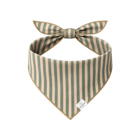 Bandana | Cabana Stripe