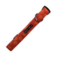 Walk-e-Woo | Pumpkin Dot