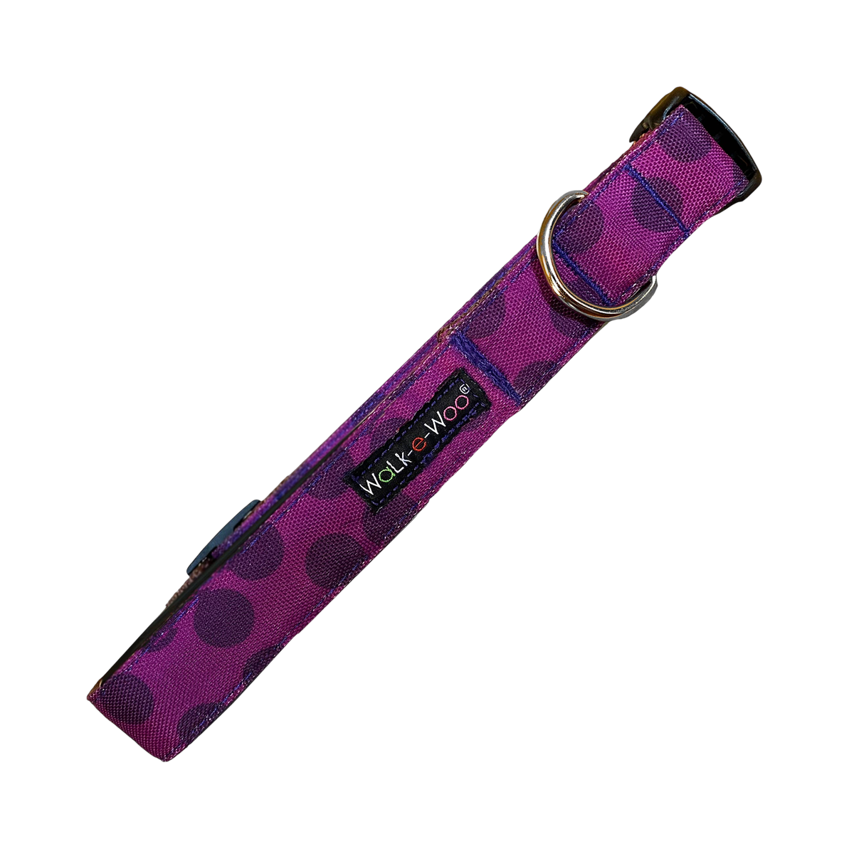Walk-e-Woo | Raspberry Dot