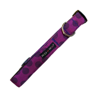 Walk-e-Woo | Raspberry Dot