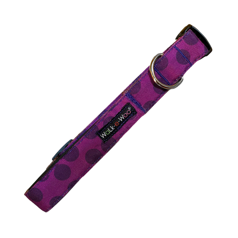 Walk-e-Woo | Raspberry Dot